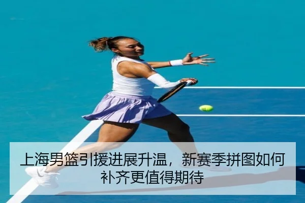 上海男篮引援进展升温，新赛季拼图如何补齐更值得期待